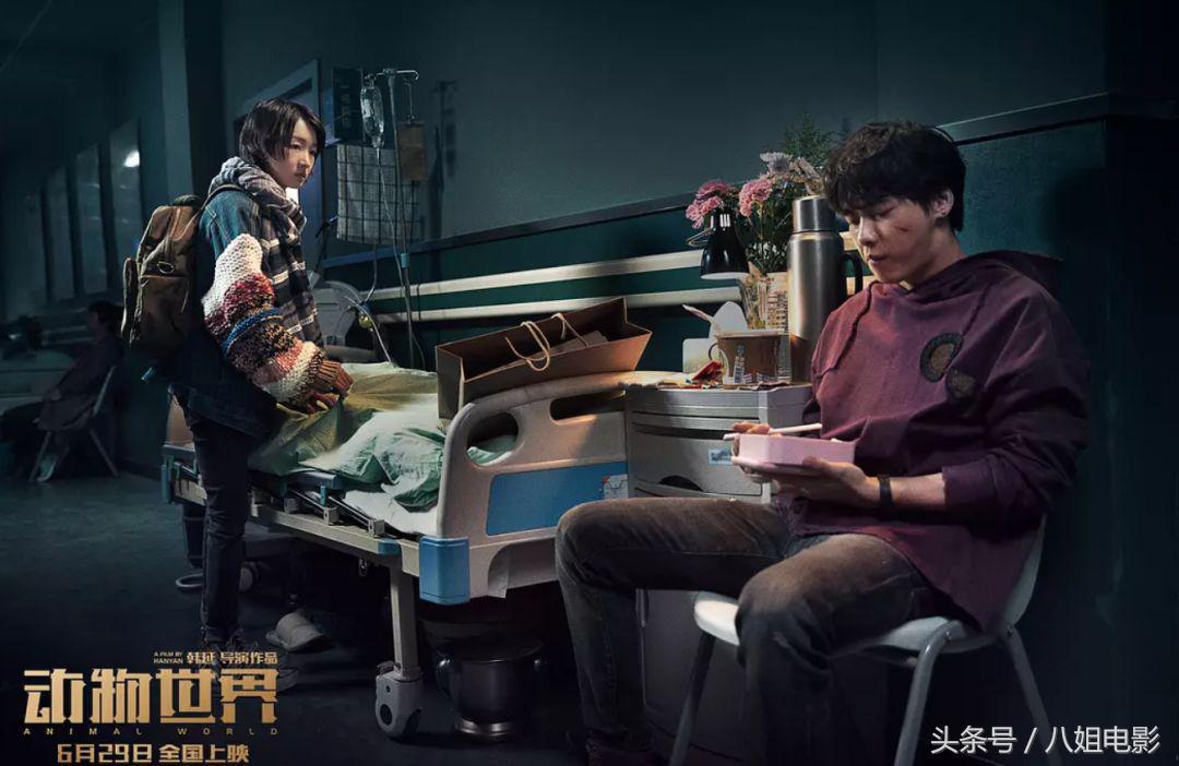 小丑最新电影，观影指南与技能提升全解析