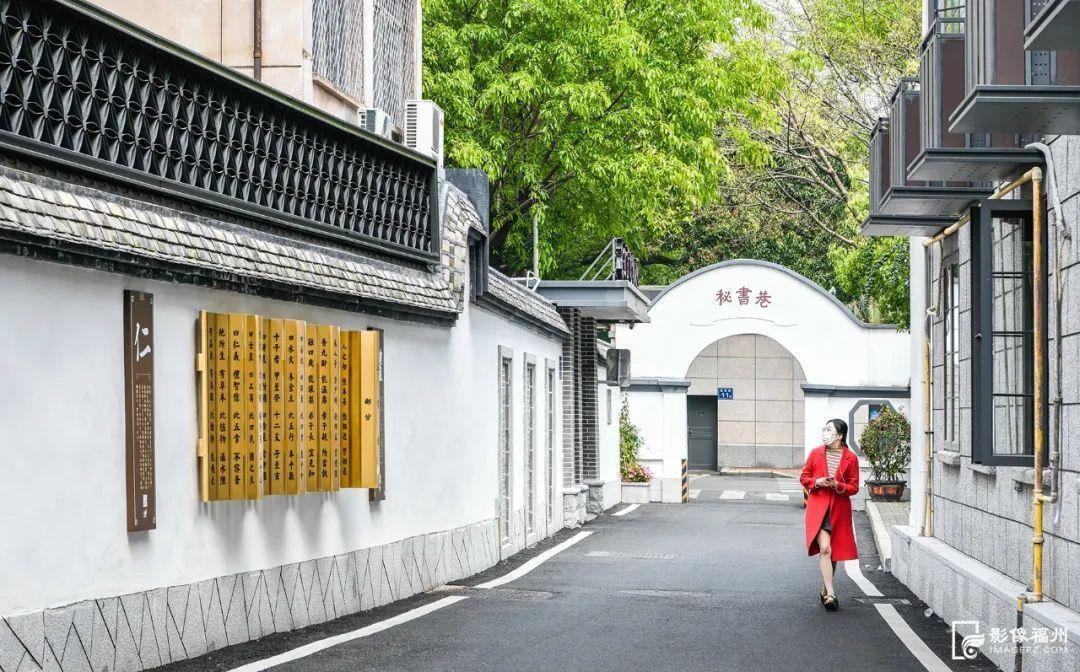 小巷深处的隐藏宝藏，最新免费电视全收录