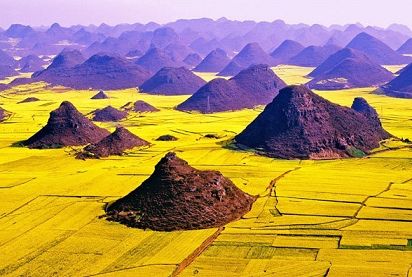 国外大片新潮流，自然美景治愈之旅探索纪实