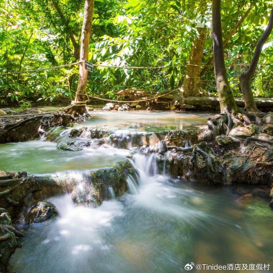 自然美景探索之旅 第19页