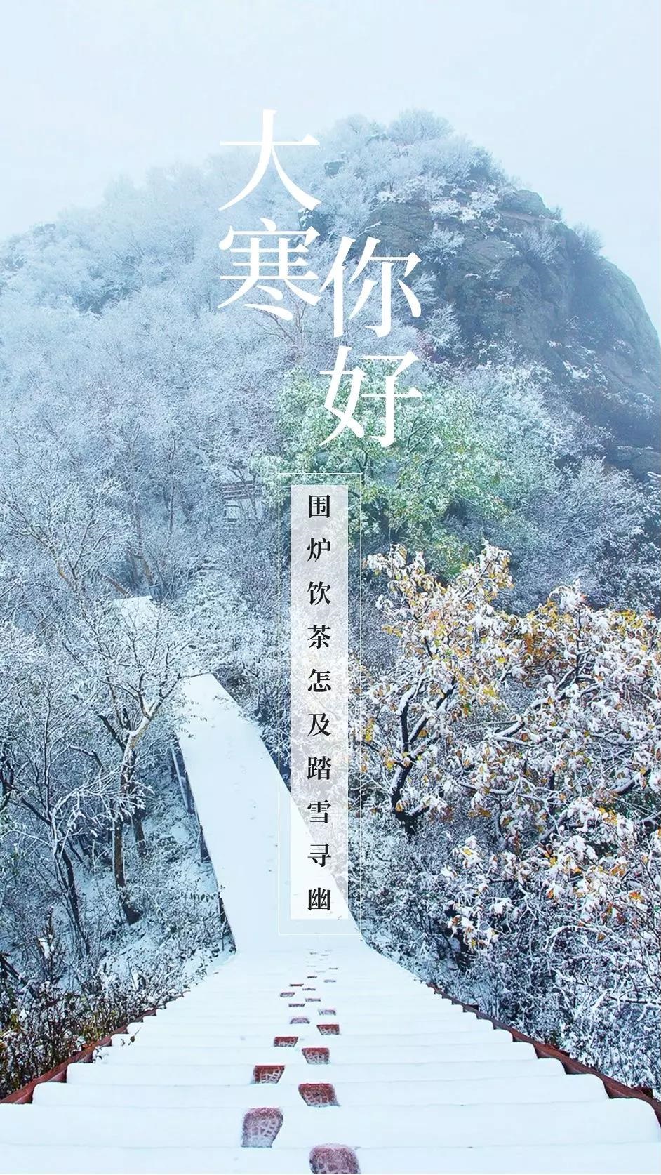 巨野最新招聘信息