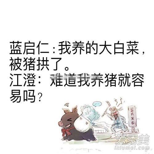 白菜最新行情与寻找内心平静的自然美景之旅
