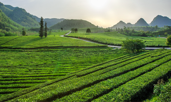 英德新闻最新动态，自然美景探索之旅的治愈力量