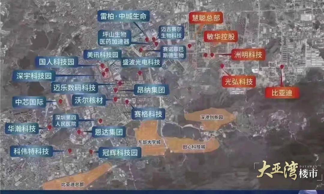 大亚湾最新房价概览，最新动态与趋势分析
