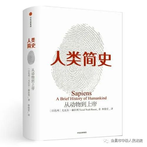 老王最新版，背景、事件、影响与时代地位的全面解析