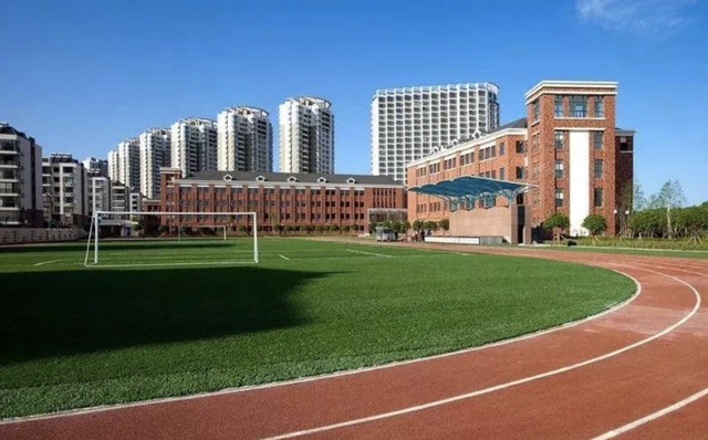 今日最新尿素价格背后的友情与陪伴故事