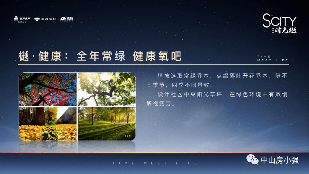 最新口子，深度分析与阐述