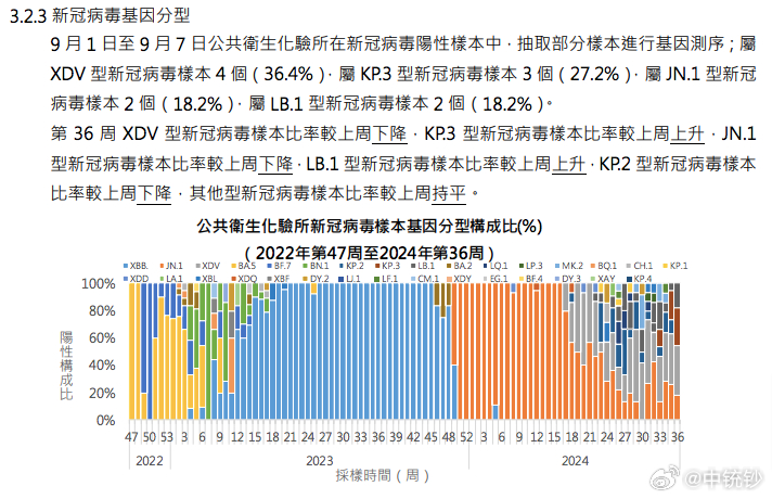 2024澳门天天开彩结果，实地数据验证分析_watchOS45.84.50