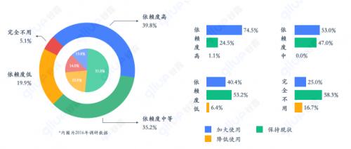 谷露最新深度解析，背景、重要事件与地位一览