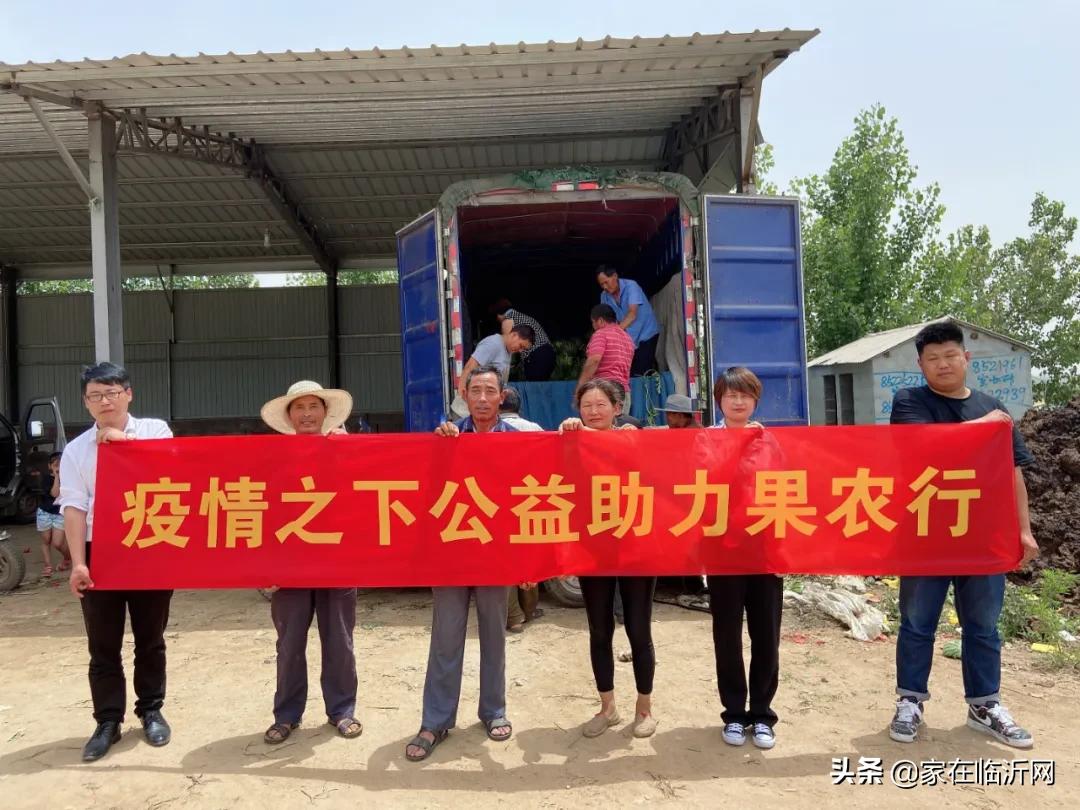 最新电影西瓜之旅，探索自然美景，寻觅内心平静