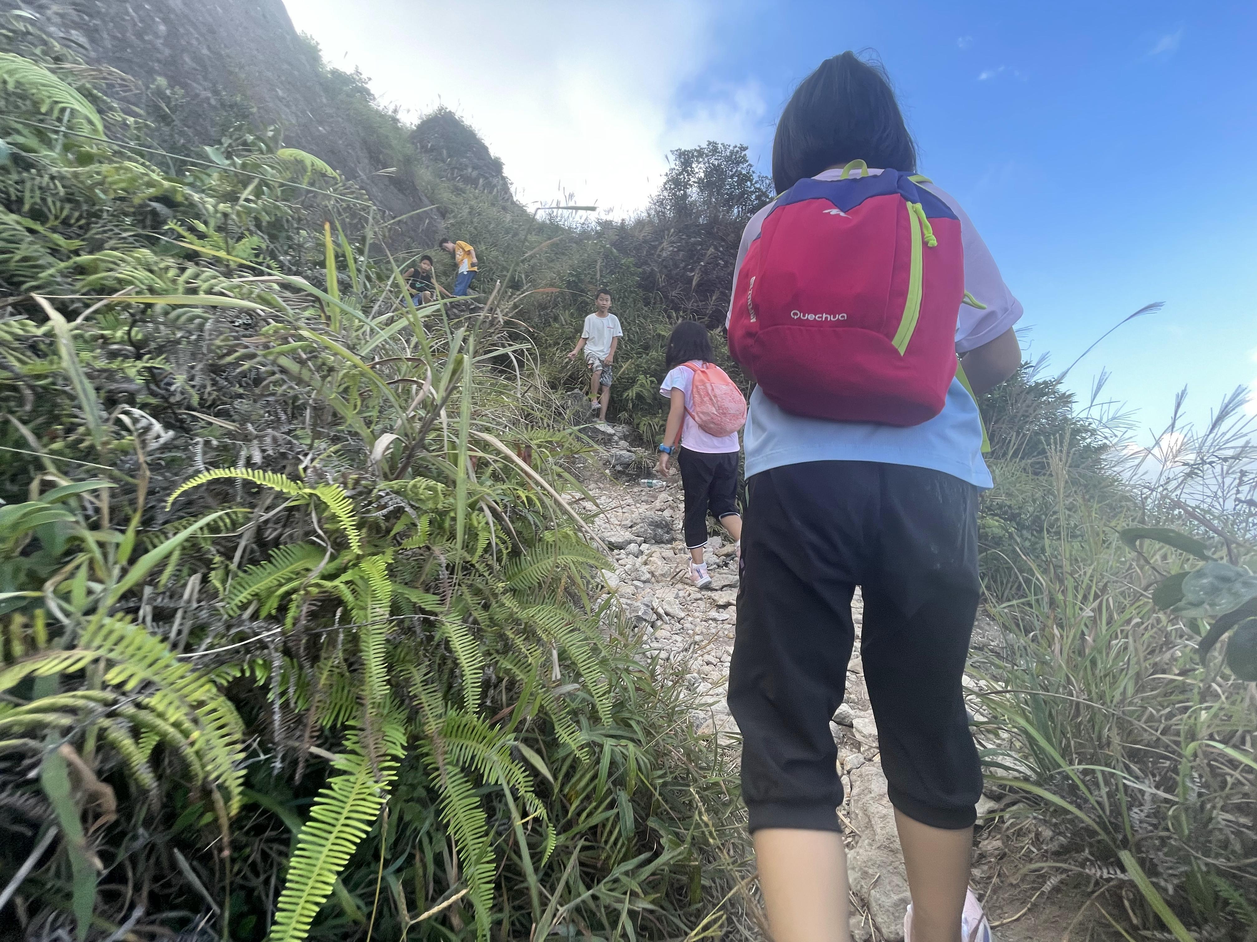 排三最新预测，自然美景之旅，探寻内心平和宁静的旅程
