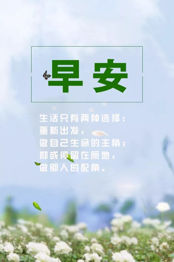最新早安心语，晨曦中的心灵慰藉与时代共鸣
