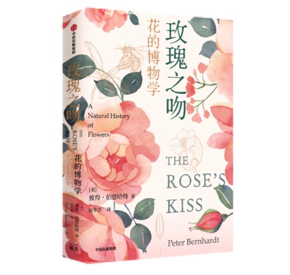 春暖花开最新,春暖花开最新，时代变迁中的美好记忆