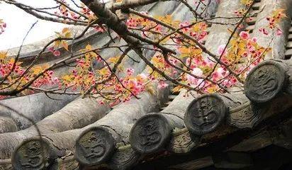 太仓招聘网最新招聘信息，启程寻找内心的宁静乐园，与自然共舞