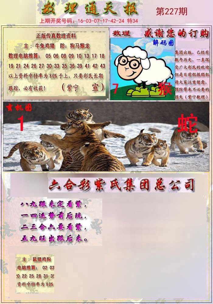 2024澳门正版猛虎报资料，定性解读说明_黄金版18.26.45