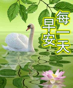 最新早上好动态图片，时代问候与文化印记的交融