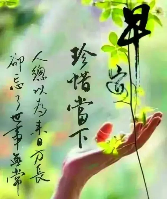 如何调整心态，拥抱每一天的美好——最新心情说说分享
