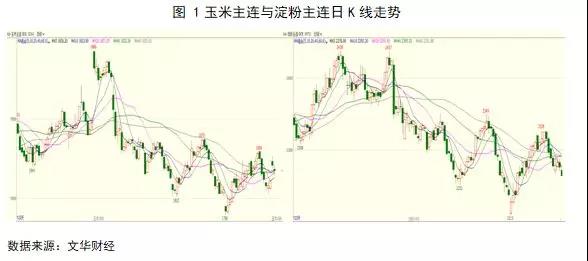 玉米最新价格走势图，与自然美景相遇，探寻内心平和的旅程