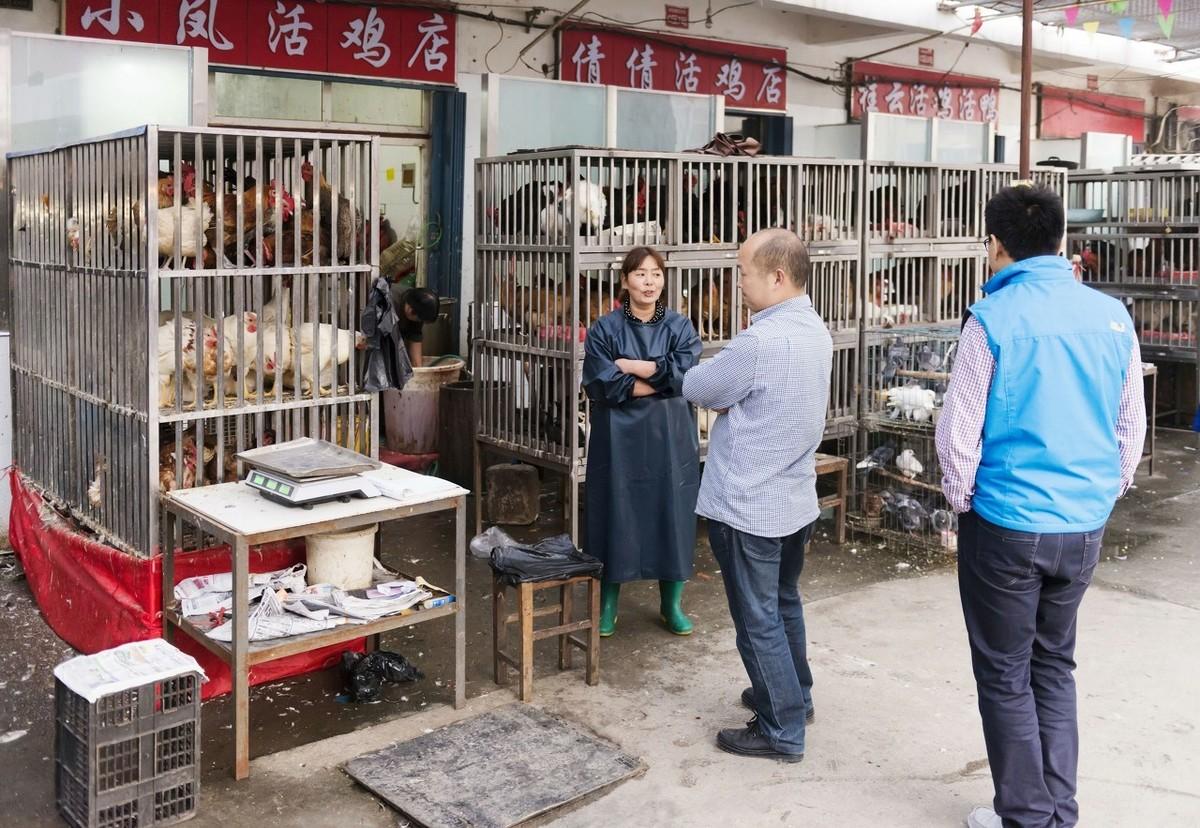 猪肉最新价格动态更新🔥