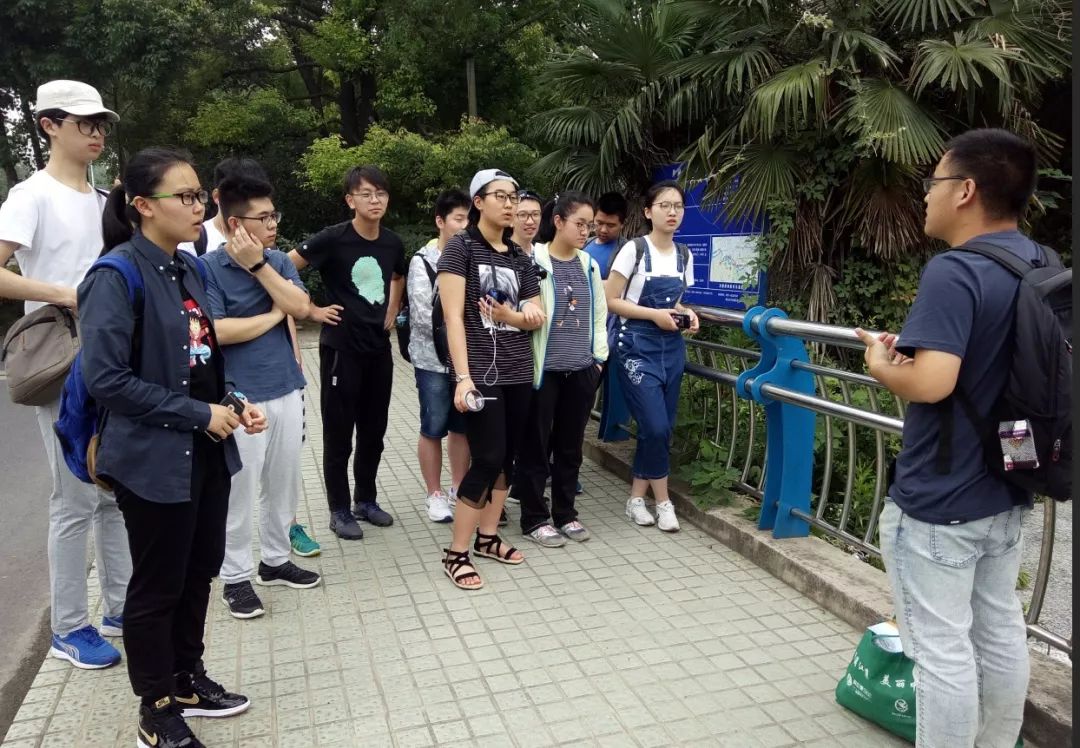 肯德基盛惠狂欢最新活动动态揭秘