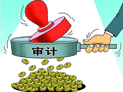 最新审计案例及其背后的感人故事