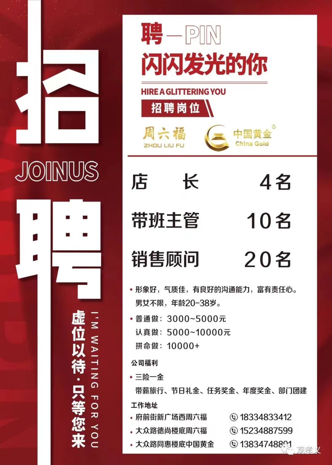 最新免费招聘信息大放送，时代的脉搏，求职者的福音