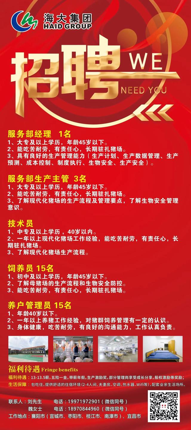 养猪招聘网最新招聘信息速递