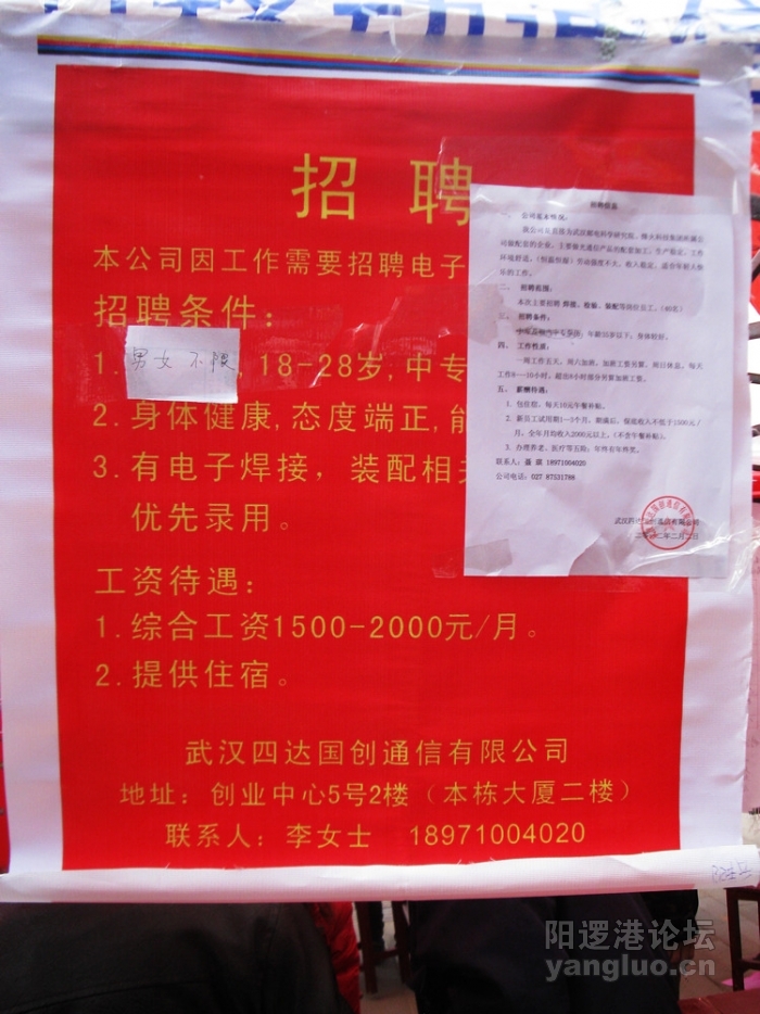 阳逻最新招聘信息及求职步骤指南