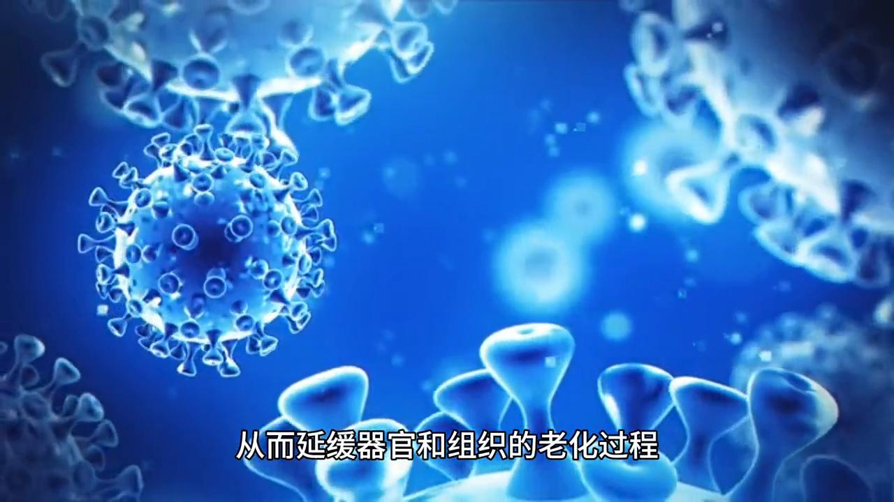 最新电子书下载，探索无尽的阅读世界