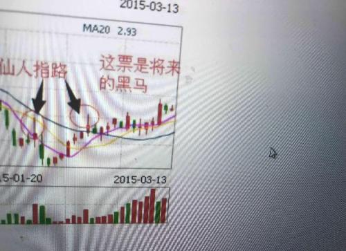 管家婆一票一码精准无误，多方案实施与解析_NSS3.76.92静音版