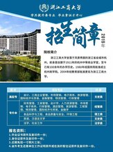 慈溪最新招聘信息概览与观点论述
