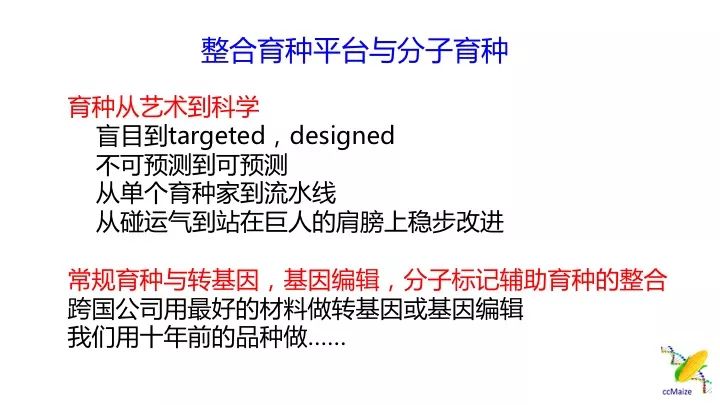 2024澳门免费精准6肖深度解析与研究——XCS5.74.23抗菌版揭秘
