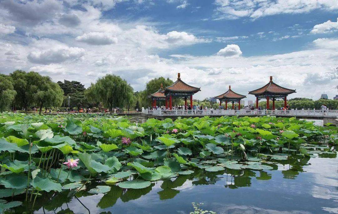 自然美景探索之旅 第16页