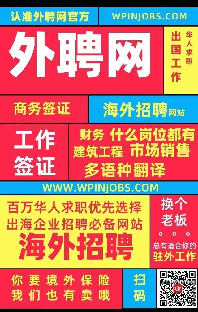 海外招聘网最新招聘信息，小巷深处的独特机遇揭秘