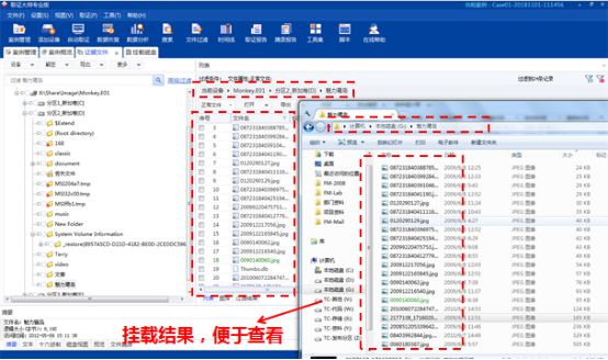 王中王传真7777788888解析：DGS1.45.51升级版深度解读