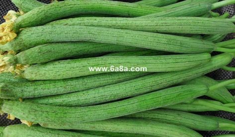 关于丝瓜视频最新版的全面指南——从新手入门到精通使用教程（非涉黄内容）