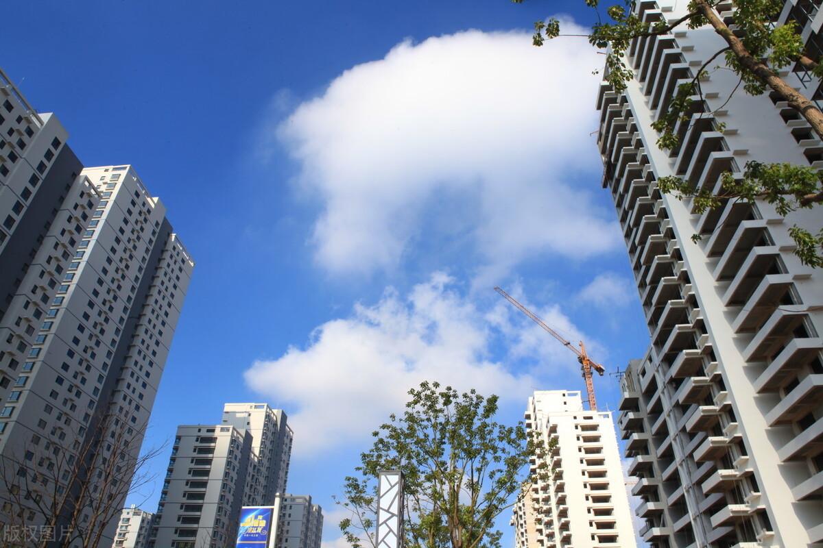 时代背景下的网络现象深度解析，最新你懂得网站探讨