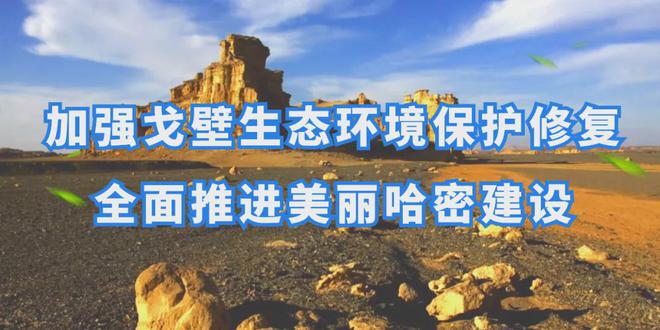 哈密最新新闻，拥抱自然，重拾内心的宁静之旅