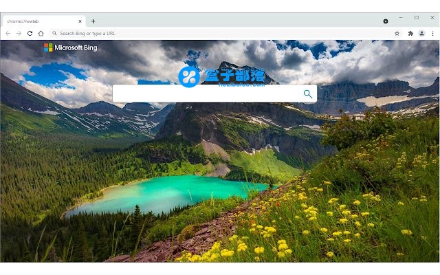 Chrome最新版，自然美景之旅的灵感启动器
