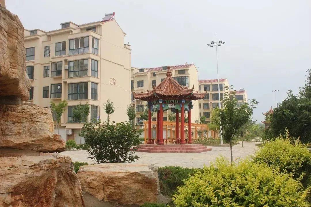 最新生猪价格表与邂逅自然美景的旅行体验
