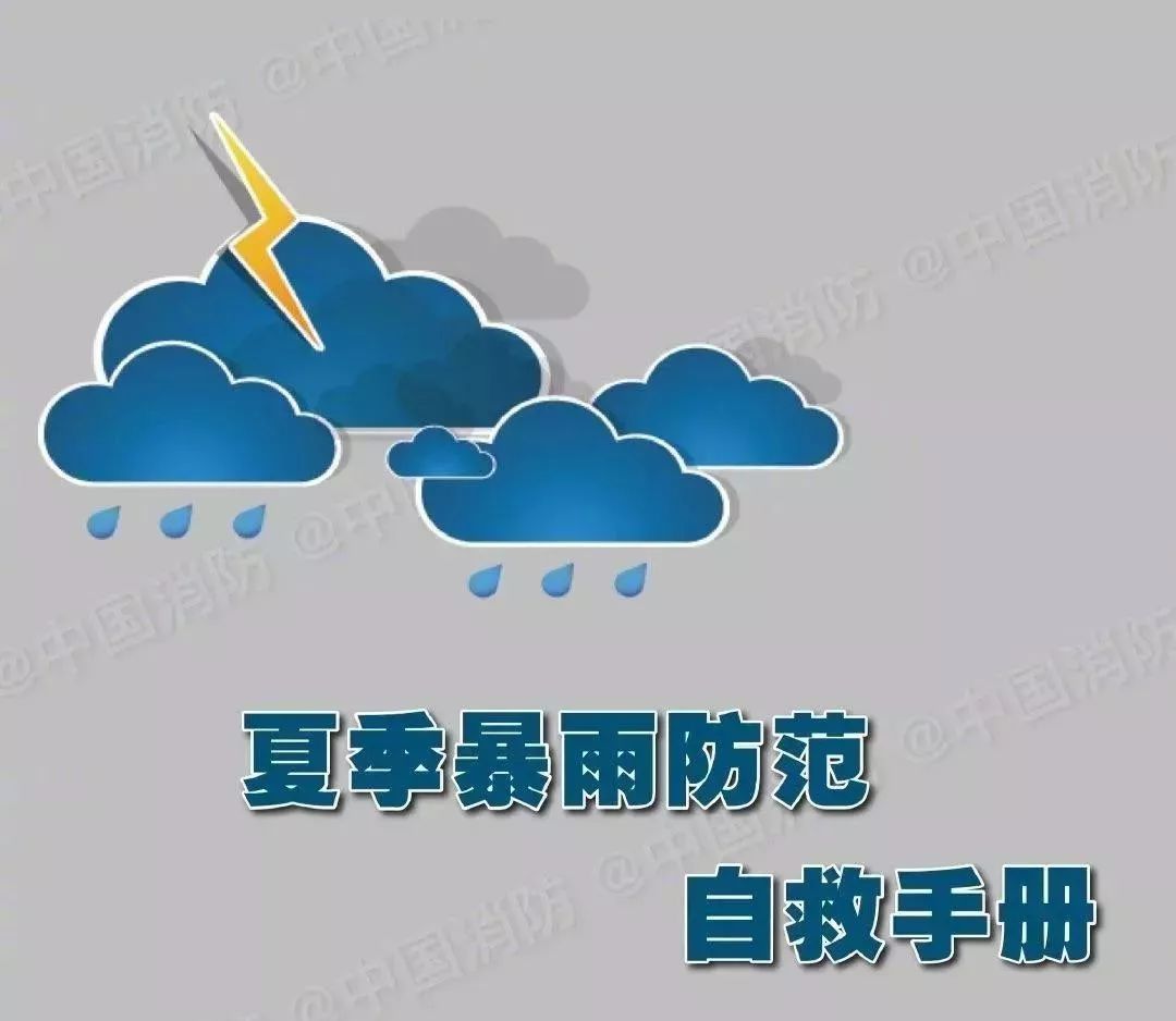台风飞燕最新动态，逆风翱翔，学习变化的力量铸就自信与成就之路