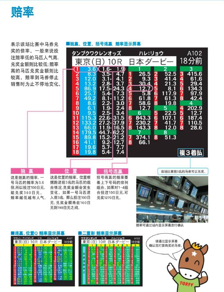 马会传真7777788888，专业评估详解_FAL6.23.92多媒体版