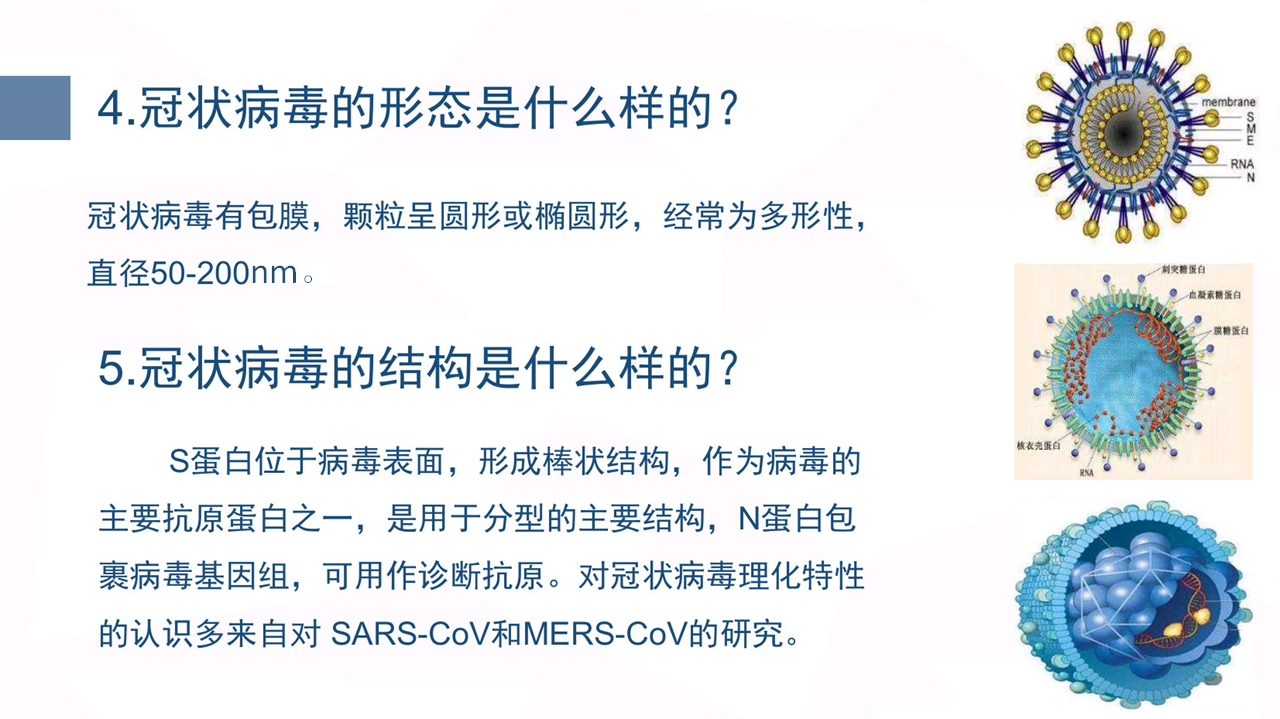 广州最新传染病毒观点论述，疫情分析与应对策略