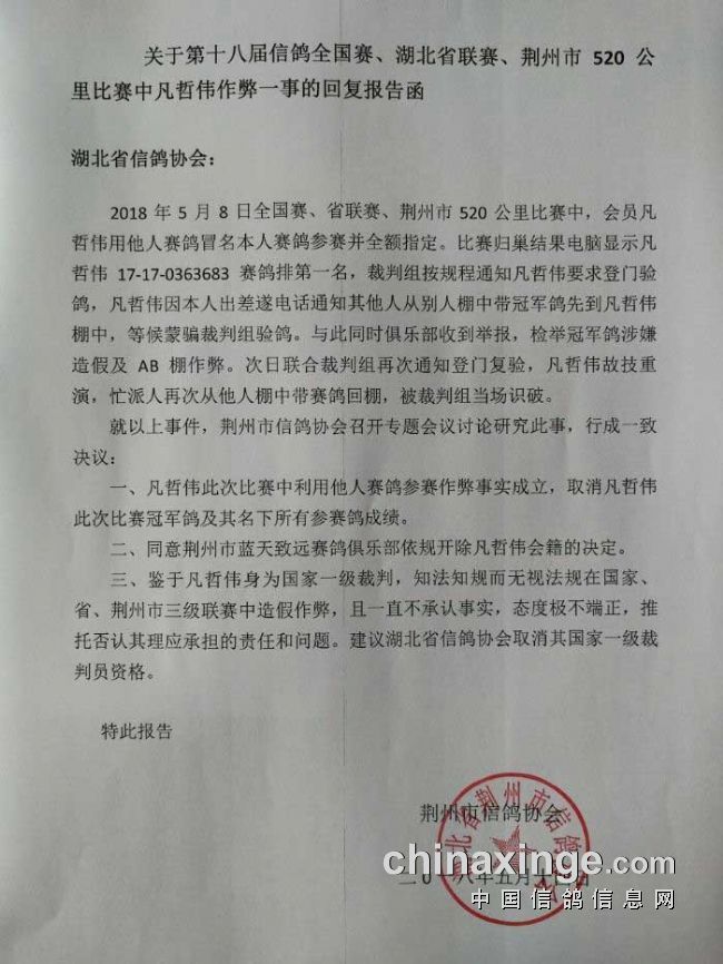 赵县信鸽协会最新公告,赵县信鸽协会最新公告