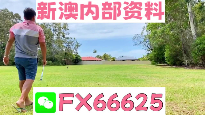 澳门管家婆-肖一码,专著解答解释落实_QQO3.50.39探险版