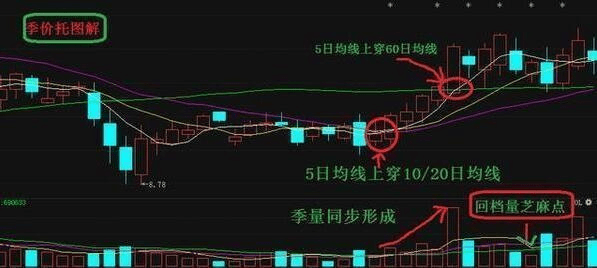 四虎网站最新使用指南，轻松掌握操作技巧