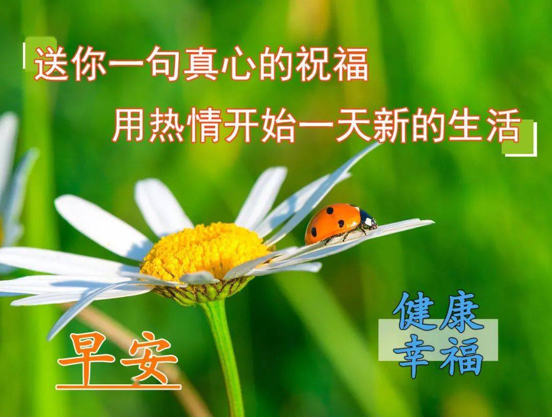 自然美景中的早安问候，启程寻找内心平和的浪漫邂逅