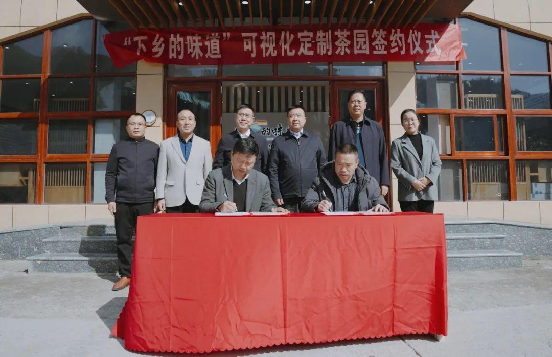 三祥新材最新动态及前景展望，全面解读与深度剖析
