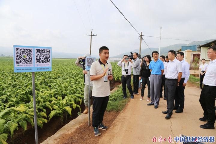 山东黄金，科技之光照亮数字化转型之路，引领未来新潮流