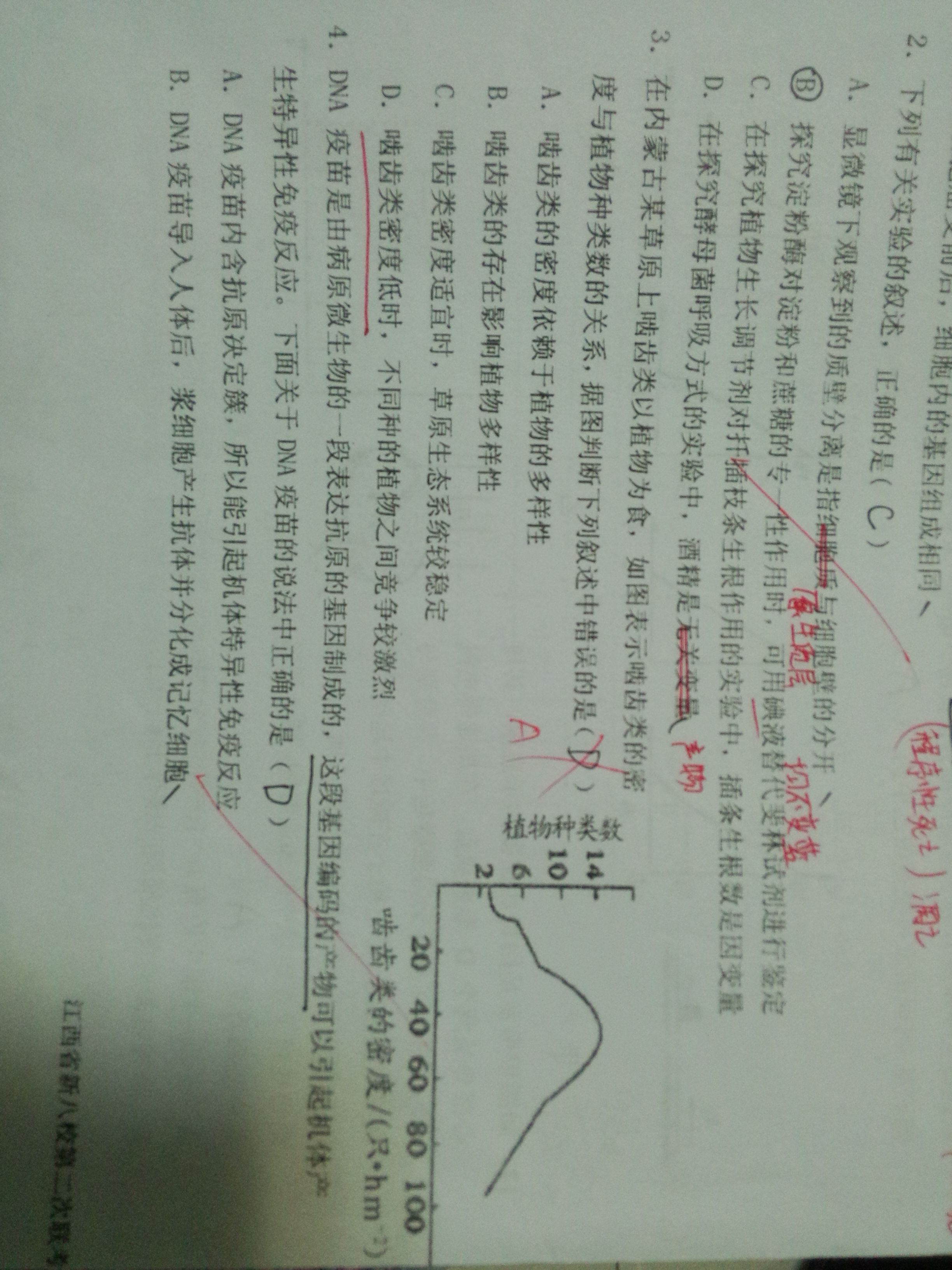 澳门顶级精准龙门蚕，持续解答与实施详解_IJM4.62.25实验版